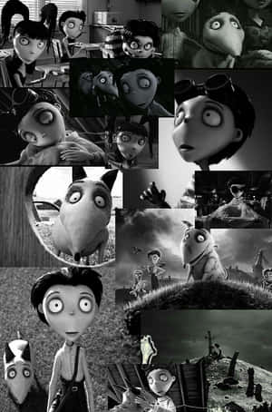 Frankenweenie 背景 — 科學怪犬 壁紙