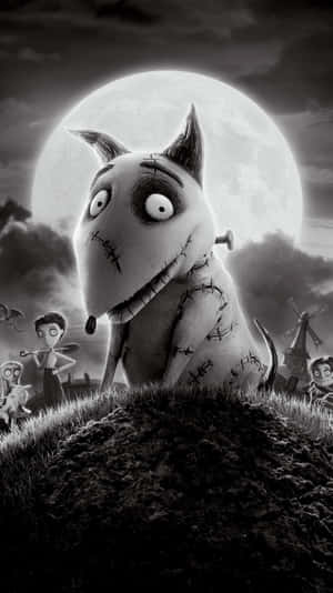 Frankenweenie 背景 — 科學怪犬 壁紙