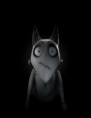Frankenweenie 背景 — 科學怪犬 壁紙