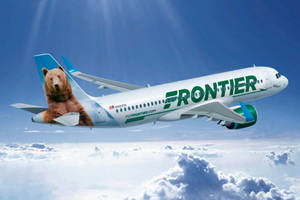 帶有熊塗裝的Frontier Airlines飛機在雲層上方飛行。