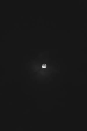 滿月在漆黑的午夜天空中。從下方仰望月亮。明亮的月光。