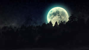 滿月在夜間從森林後升起，星星可見。