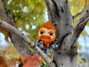 橙色頭髮和鬍子的Funko Pop公仔棲息在樹枝上，伴有秋葉。