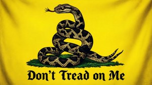 盤繞的響尾蛇在黃色旗幟上，文字「Don't Tread on Me」。