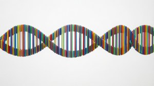 在白色背景上用棒製成的彩色DNA雙螺旋