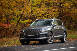 灰色 Genesis GV80 SUV 停泊在秋日森林的道路上，周圍有色彩繽紛的樹葉。