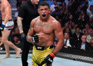 UFC拳手在八角籠內慶祝勝利，觀眾在圍欄後。 — 黃色 壁紙