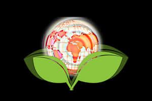 Globeon 環保概念