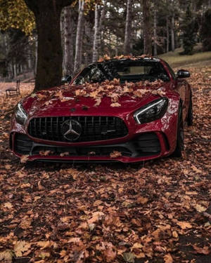 森林中被秋葉覆蓋的紅色Mercedes-AMG GT。