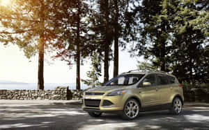 金色SUV停在森林附近，有石牆和水景。 — MacBook Air M1 壁紙