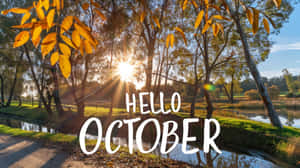 陽光穿過秋樹，照在寧靜的小溪上，並有 hello october 文字。 — 4K秋日壁紙