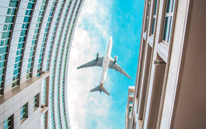 飛機在晴朗的日子裡於高樓大廈之間飛行。 — 飛機 壁紙