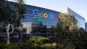 Google 辦公大樓，玻璃外牆和色彩繽紛的標誌，周圍環繞樹木。