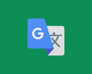 Google Translate 應用程式圖示，在綠色背景上有藍色和白色重疊的正方形。