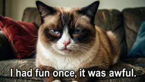 經典的 Grumpy Cat 搞笑表情配上有趣的文字，令人忍俊不禁。