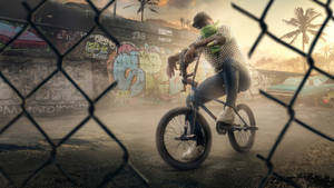 bmx車手在日落時靠著單車在鐵絲網圍欄後，有塗鴉牆和棕櫚樹。