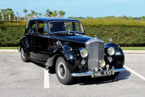 光澤黑色 vintage Rolls-Royce 停泊在陽光普照的戶外停車場，有棕櫚樹和樹籬。 — Surface Laptop 壁紙