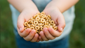 孩子戶外手中拿著穀物環