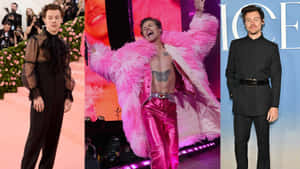 Harry Styles 穿著三套華麗服裝：黑色長袍、粉紅色毛皮大衣和黑色西裝。 — 哈里·斯泰爾斯 壁紙
