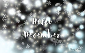 雪花飄浮在發光的燈光上，並有 hello december 文字。