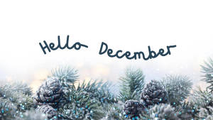結霜的松樹枝、松果和藍色閃粉在「Hello December」文字下方。