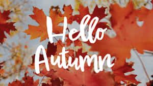 藍天背景下帶有「Hello Autumn」文字的秋葉。