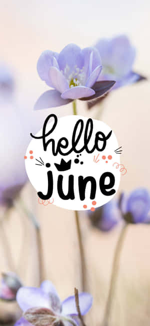 Hello June 問候，背景有柔焦的紫色花朵。