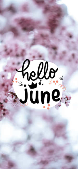 Hello June 問候語，背景是柔焦的粉紅櫻花。