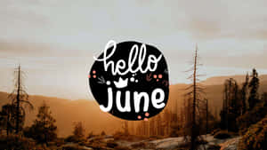 Hello June 文字圖案覆蓋在山脈日落森林場景上