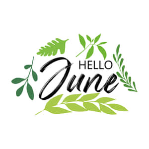 Hello June 文字設計，白色背景上帶有綠色葉子點綴