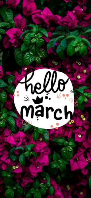 Hello March 文字位於白色圓圈內，周圍環繞著洋紅色花朵和綠葉。
