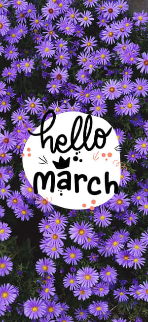 紫色花朵與hello march文字氣泡