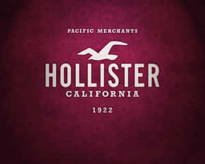 Hollister品牌標誌，帶有海鷗和文字，在酒紅色花卉背景上
