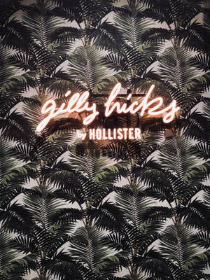 棕櫚葉牆紙上寫著 gilly hicks by hollister 的霓虹燈牌。 — 棕櫚樹 GIF 壁紙