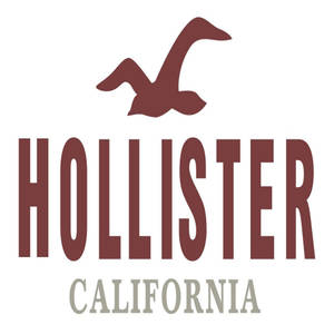 Hollister California標誌，帶有栗色飛鳥剪影和文字。 — 簡單 壁紙