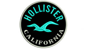 Hollister California 標誌貼片，帶有藍綠色海鷗和銀色邊框。 — Studio Display 壁紙
