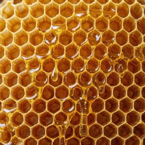 金黃色蜂蜜從六角形蜂巢結構滴落