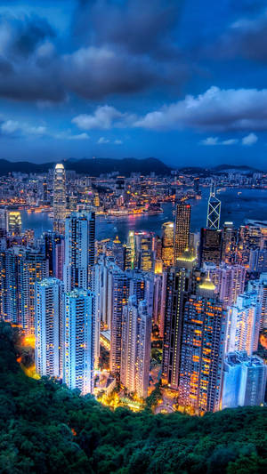黃昏時分，密集建築的城市全景，建築物發光，天空昏暗。
