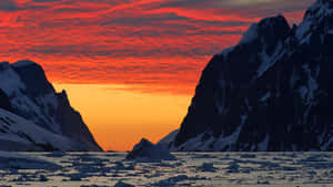 白雪覆蓋的山峰框住了浮冰海洋上充滿活力的夕陽。