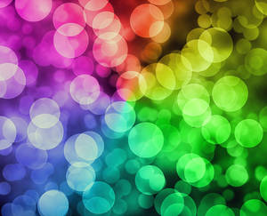 Bright Multicolored Abstraction
