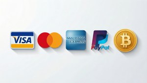 五個付款服務標誌，包括Visa、Mastercard、American Express、PayPal和Bitcoin，背景為淺灰色。