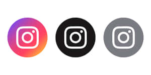 三個 Instagram 應用程式圖示在漸變色彩繽紛的黑色和灰色背景上。