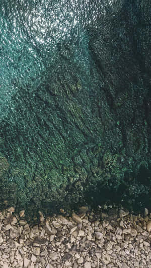平靜海岸線上，清澈碧綠的海水在陽光照耀的岩石上泛起漣漪。