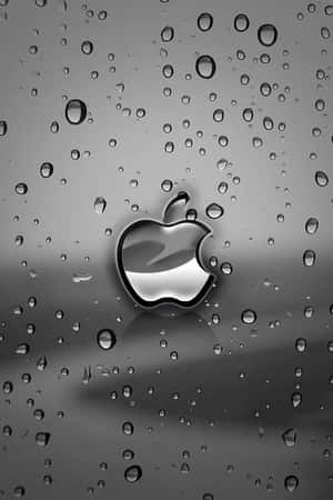 Apple標誌反射在濺滿雨水的玻璃上，背景為單色漸變。