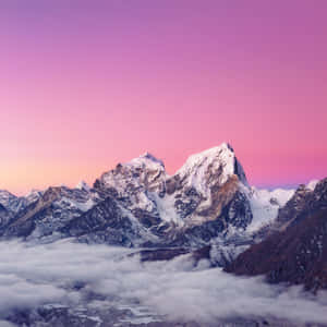 在粉紅色黎明天空下，積雪的山脈聳立於雲層之上