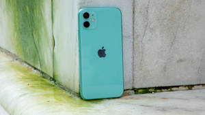 薄荷綠色iPhone靠在一面長滿苔蘚的混凝土牆上。