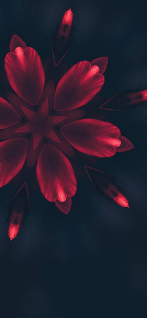 一朵發光的紅花，花瓣對稱，襯托在深色背景上。 — iPhone 14 Pro 壁紙