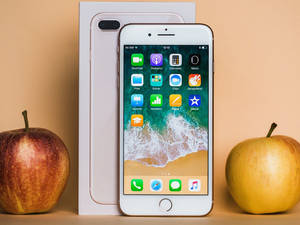 白色iPhone 8 Plus，Apple標誌盒子，米色表面上兩個真蘋果。
