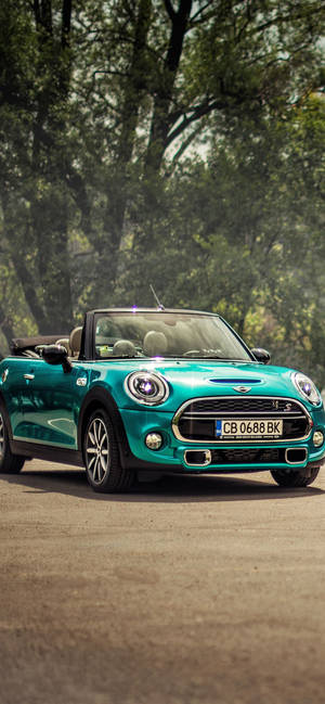 青綠色MINI Convertible在明亮陽光下停泊在森林道路上。