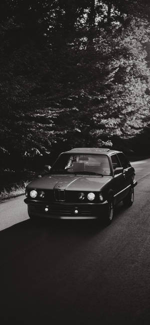 經典BMW E30房車在日落時分行駛在林間道路上。